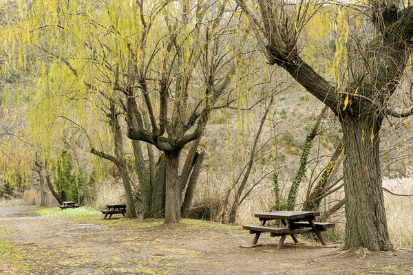 Imagen Excursiones